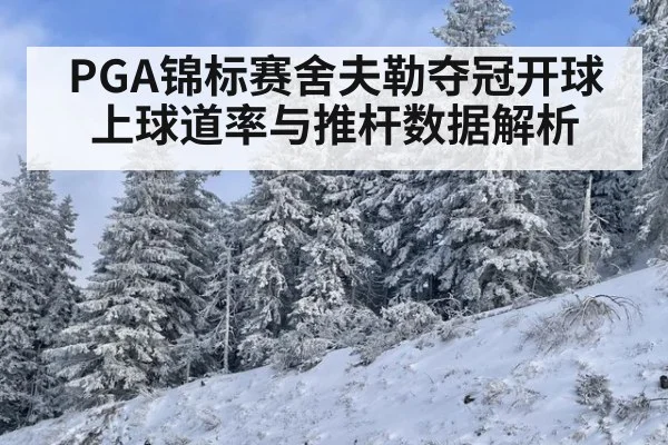 PGA锦标赛舍夫勒夺冠开球上球道率与推杆数据解析